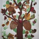 WhatsApp Image 2024-11-01 at 17.43.07